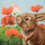 Schilderskring Zaanstreek Noord