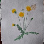 Carin Nyst