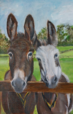 Thalina Vet-De Bruijn